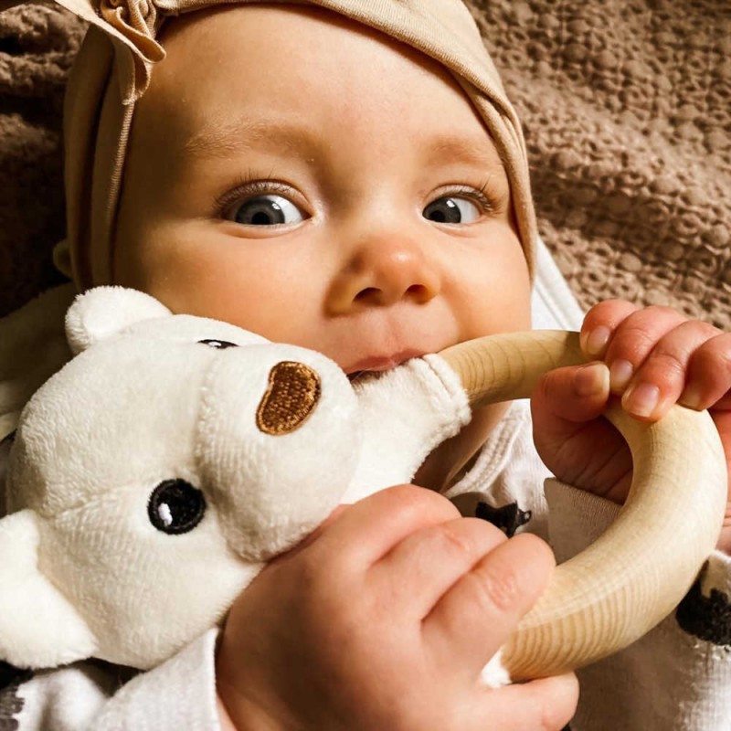 WHISBEAR ΜΑΣΗΤΙΚΟ ECO TEETHER BEAR